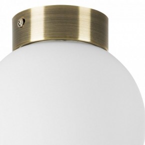 Накладной светильник Lightstar Globo 812011 в Тюмени - tumen.mebel24.online | фото 3