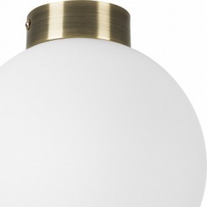 Накладной светильник Lightstar Globo 812021 в Тюмени - tumen.mebel24.online | фото 3
