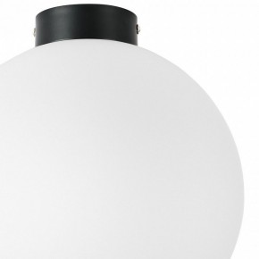 Накладной светильник Lightstar Globo 812037 в Тюмени - tumen.mebel24.online | фото 3