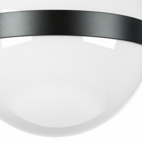 Накладной светильник Lightstar Globo 812117 в Тюмени - tumen.mebel24.online | фото 3
