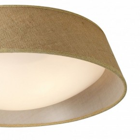 Накладной светильник Mantra Sabina 6413 в Тюмени - tumen.mebel24.online | фото 3