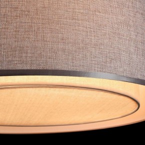 Накладной светильник Maytoni Bergamo MOD613CL-04GR в Тюмени - tumen.mebel24.online | фото 10