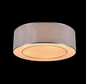Накладной светильник Maytoni Bergamo MOD613CL-04GR в Тюмени - tumen.mebel24.online | фото 4