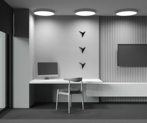 Накладной светильник Maytoni Zon C032CL-90W3K-RD-MG в Тюмени - tumen.mebel24.online | фото 10