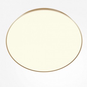 Накладной светильник Maytoni Zon C032CL-90W3K-RD-MG в Тюмени - tumen.mebel24.online | фото 2