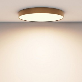 Накладной светильник Maytoni Zon C032CL-90W3K-RD-MG в Тюмени - tumen.mebel24.online | фото 4