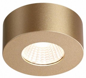 Накладной светильник Odeon Light Bene 4284/7CL в Тюмени - tumen.mebel24.online | фото 4