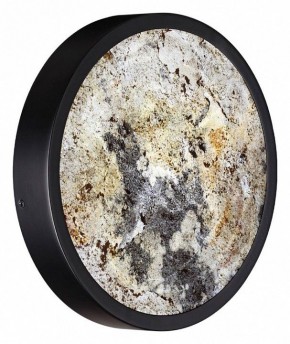 Накладной светильник Odeon Light Bergi 5064/15WL в Тюмени - tumen.mebel24.online | фото 7