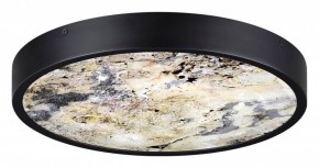 Накладной светильник Odeon Light Bergi 5064/30L в Тюмени - tumen.mebel24.online | фото 4