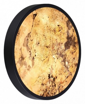 Накладной светильник Odeon Light Bergi 5064/30L в Тюмени - tumen.mebel24.online | фото 5
