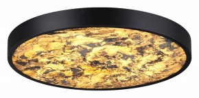 Накладной светильник Odeon Light Bergi 5064/40L в Тюмени - tumen.mebel24.online | фото 2