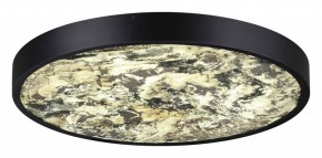 Накладной светильник Odeon Light Bergi 5064/40L в Тюмени - tumen.mebel24.online | фото 3