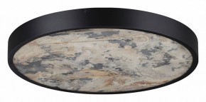 Накладной светильник Odeon Light Bergi 5064/40L в Тюмени - tumen.mebel24.online | фото 6
