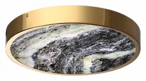 Накладной светильник Odeon Light Bergi 5079/30L в Тюмени - tumen.mebel24.online | фото 3