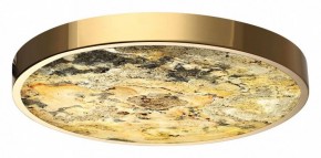 Накладной светильник Odeon Light Bergi 5079/40L в Тюмени - tumen.mebel24.online | фото 2