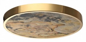 Накладной светильник Odeon Light Bergi 5079/40L в Тюмени - tumen.mebel24.online | фото 4