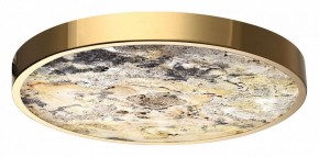Накладной светильник Odeon Light Bergi 5079/40L в Тюмени - tumen.mebel24.online | фото 6