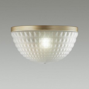 Накладной светильник Odeon Light Malaga 4936/1W в Тюмени - tumen.mebel24.online | фото 2