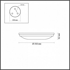 Накладной светильник Odeon Light Pelow 4957/4 в Тюмени - tumen.mebel24.online | фото 3