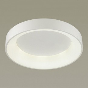 Накладной светильник Odeon Light Sole 4062/50CL в Тюмени - tumen.mebel24.online | фото 2