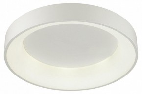 Накладной светильник Odeon Light Sole 4062/50CL в Тюмени - tumen.mebel24.online | фото 3