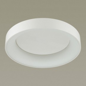 Накладной светильник Odeon Light Sole 4062/50CL в Тюмени - tumen.mebel24.online | фото 4