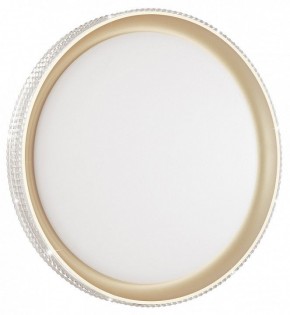 Накладной светильник Sonex Shiny 3054/EL в Тюмени - tumen.mebel24.online | фото 3