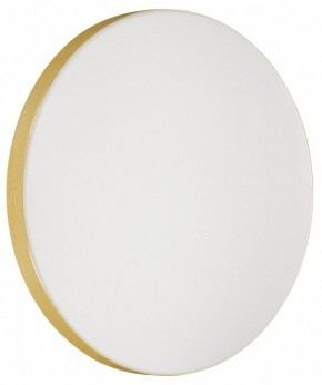 Накладной светильник Sonex Smalli 3066/CL в Тюмени - tumen.mebel24.online | фото 2