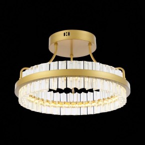 Накладной светильник ST-Luce Cherio SL383.202.01 в Тюмени - tumen.mebel24.online | фото 6
