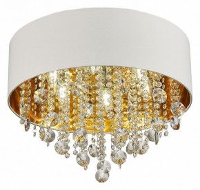 Накладной светильник ST-Luce Lacchia SL1350.502.06 в Тюмени - tumen.mebel24.online | фото 3
