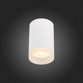 Накладной светильник ST-Luce ST100 ST100.502.01 в Тюмени - tumen.mebel24.online | фото 4