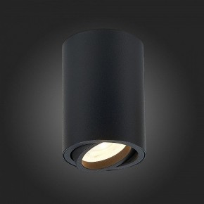 Накладной светильник ST-Luce Torus ST108.407.01 в Тюмени - tumen.mebel24.online | фото 4