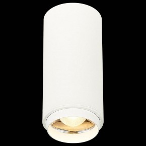 Накладной светильник ST-Luce Zoom ST600.532.10 в Тюмени - tumen.mebel24.online | фото 4