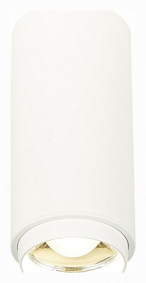 Накладной светильник ST-Luce Zoom ST600.542.10 в Тюмени - tumen.mebel24.online | фото 2