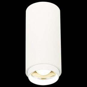 Накладной светильник ST-Luce Zoom ST600.542.10 в Тюмени - tumen.mebel24.online | фото 3