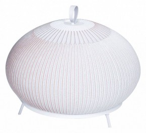 Настольная лампа декоративная Divinare Firefly 1808/33 TL-50 в Тюмени - tumen.mebel24.online | фото