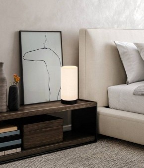 Настольная лампа декоративная Eglo Feniglia 900861 в Тюмени - tumen.mebel24.online | фото 2