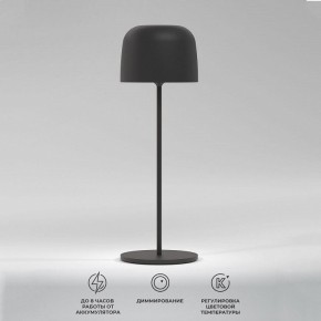 Настольная лампа декоративная Elektrostandard Bitty a069002 в Тюмени - tumen.mebel24.online | фото 2