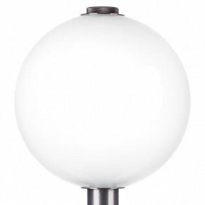 Настольная лампа декоративная Lightstar Colore 805916 в Тюмени - tumen.mebel24.online | фото 6