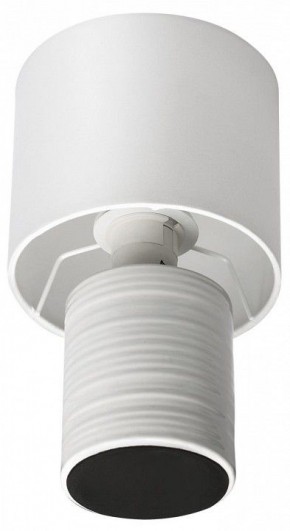Настольная лампа декоративная Lumion Tuala 8144/1Т в Тюмени - tumen.mebel24.online | фото 3