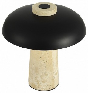Настольная лампа декоративная ST-Luce Earthy SL1194.424.01 в Тюмени - tumen.mebel24.online | фото 5