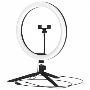 Настольная лампа кольцевая Gauss Ring Light RL003 в Тюмени - tumen.mebel24.online | фото