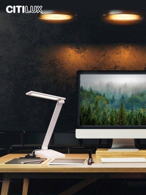 Настольная лампа офисная Citilux Ньютон CL803080 в Тюмени - tumen.mebel24.online | фото 10