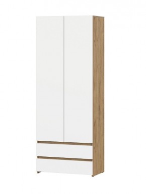 НЕКСТ 1 Шкаф двухстворчатый с ящиками в Тюмени - tumen.mebel24.online | фото