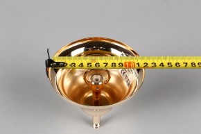 Подвесная люстра Aployt Daniele APL.701.03.12 в Тюмени - tumen.mebel24.online | фото 6