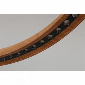 Подвесная люстра Aployt Justyna APL.787.03.75 в Тюмени - tumen.mebel24.online | фото 10