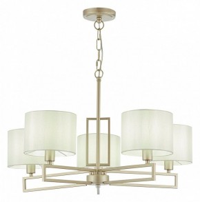Подвесная люстра EVOLUCE Danae SLE105803-05 в Тюмени - tumen.mebel24.online | фото 2