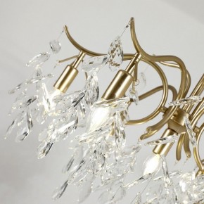 Подвесная люстра Favourite Brillo 3003-7P в Тюмени - tumen.mebel24.online | фото 5