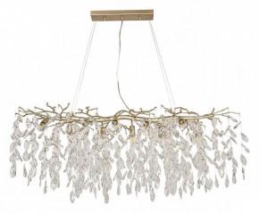 Подвесная люстра Favourite Brillo 3056-10P в Тюмени - tumen.mebel24.online | фото 2