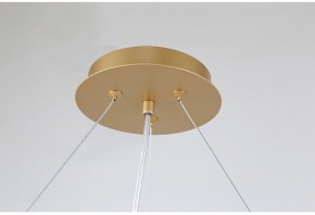 Подвесная люстра Favourite Ginkoa 4080-10P в Тюмени - tumen.mebel24.online | фото 9